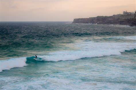 Tamarama Beach Surfer Wave - Free photo on Pixabay - Pixabay