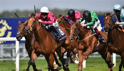 Shergar Cup 9th August 2025 | Royal Ascot Betting Offers