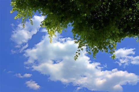 Kostenlose foto Himmel blau Wolke Tagsüber Grün Natur