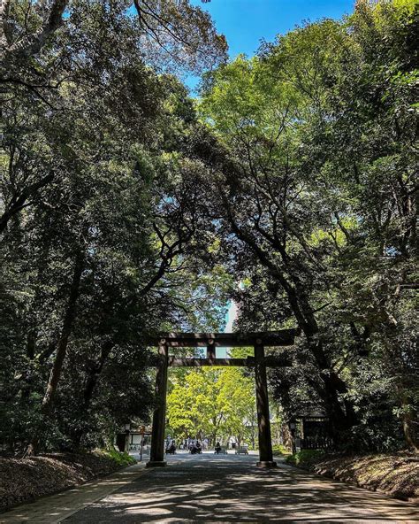 Meiji Shrine (明治神宮) - Sightseeing Japan