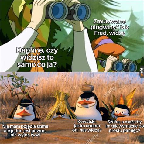 Dziwna Sprawa Jeja Pl