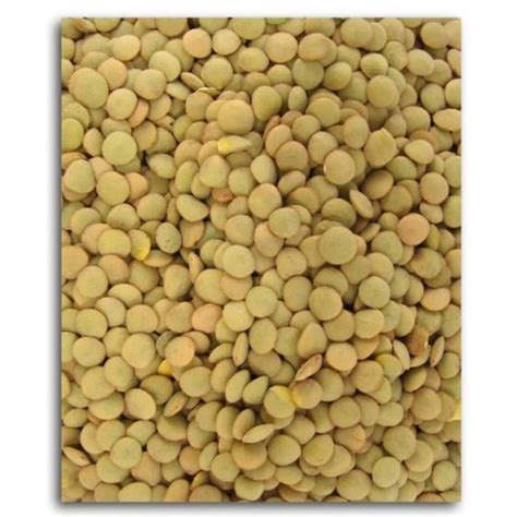 Grain Millers Organic French Lentil Beans - 25 Lb : Target