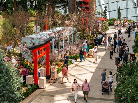 The Iconic Sakura Flora Display Returns To The Flower Dome At Gardens