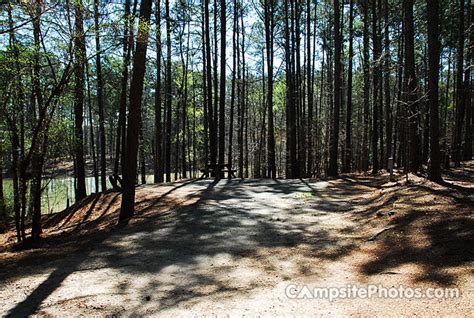 Hamilton Branch State Park - Campsite Photos, Camp Info & Reservations