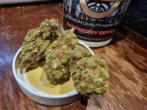 Marshmallow Raspberry Ripple Buy Sprinklez Los Angeles Sprinklez Strain