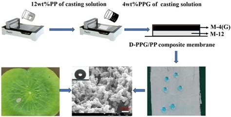 Molecules Free Full Text Preparation And Self Cleaning Performance Of High Strength Double