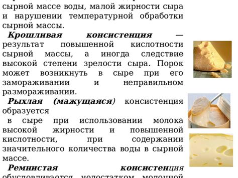 Презентация на тему "СЫРЫ и их классификация" по профессии №16675 ...