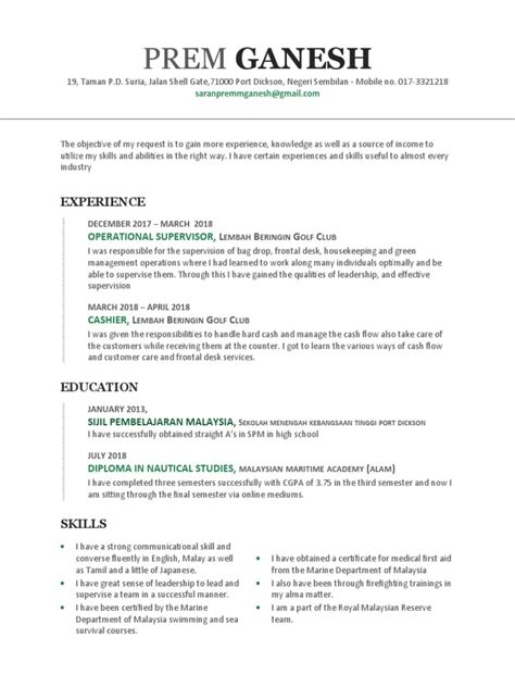 Resume For Spm Leavers Pdf Malaysia Cognition