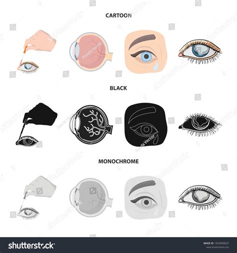 Vector Illustration Medical Eyeball Sign Collection Stock Vector