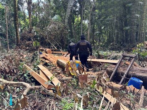 Pf Deflagra Operação Para Combater Crimes Ambientais Na Terra Indígena