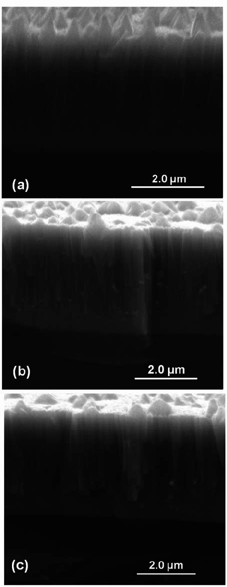 Scanning Electron Micrographs Of Fracture Cross Sections Of Crn Thin Download Scientific