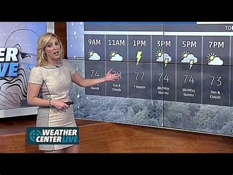 Alex Wilson Tight Tan Dress Weather Channel Easy On The Eyes