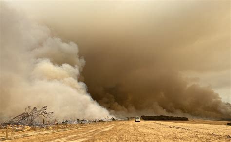 Unprecedented Fires Are Transforming Unique Australian Ecosystems