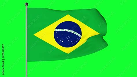 The Flag Of Brazil Verde E Amarela Auriverde Is A Blue Disc