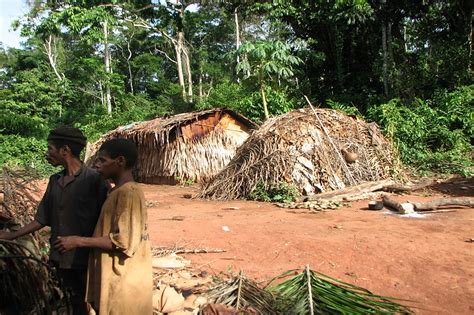 Pygmy Culture And Traditions In Dr Of Congo Newage Travel