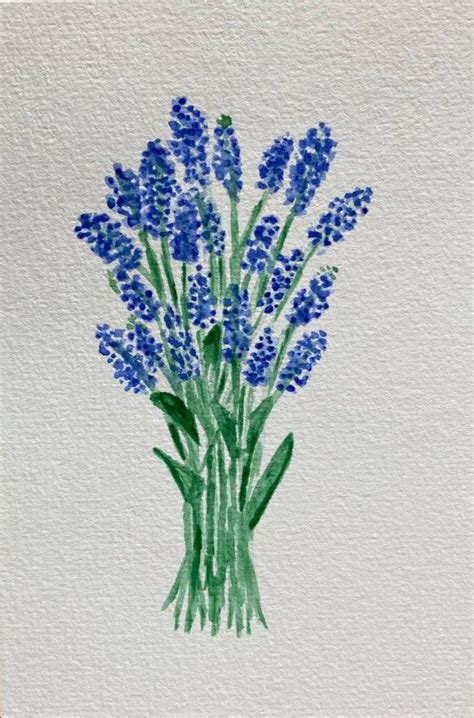 Простой рисунок акварелью вербена лаванда Art Drawings, Watercolor ...