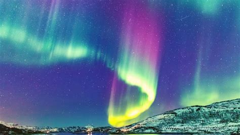 Reykjavik Nordlichter Infos Tour Ab Islands Hauptstadt