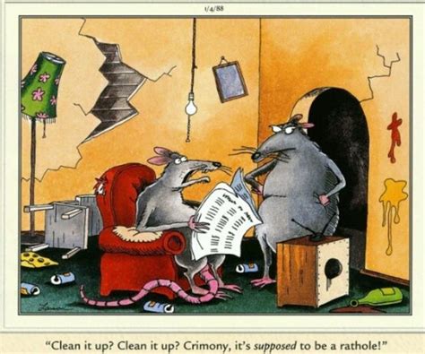 Related Image Cartoon Rat Far Side Cartoons Comedy Cartoon