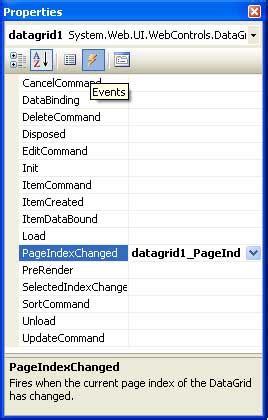 How To Display The Records In Datagrid By Using The Paging