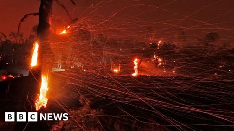 Causes Of Deadly Dry Lightning Wildfires Revealed Bbc News