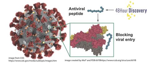 Edmonton Company Searches For Antiviral Compounds To Treat Covid