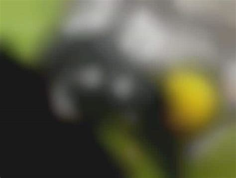 82 Crazy Lingerie Designs