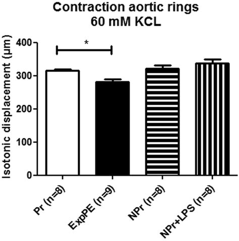 Contractility Of Aortic Rings Isotonic Displacement Microns After