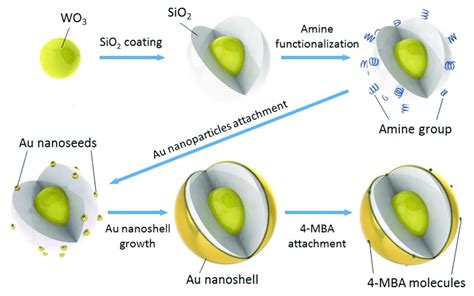 2 Diagram Of The Wo3 Sio2 Au Core Shell Composite Nps Synthesis