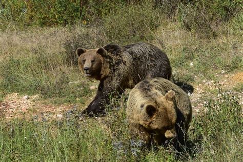 Apennine Mountains - The Wild Heart of Italy