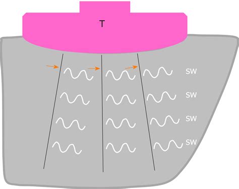 Schematic Drawing Of Two Dimensional Shear Wave Elastography In A