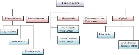 Classification of transducers employed in biosensor construction | Download Scientific Diagram