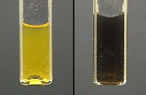 Phenol Liquid Color