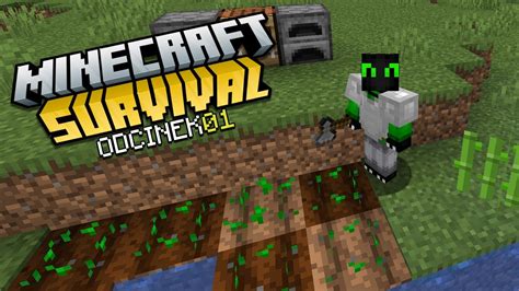 Nowa Seria Minecraft Survival Pogadanki Odc Youtube