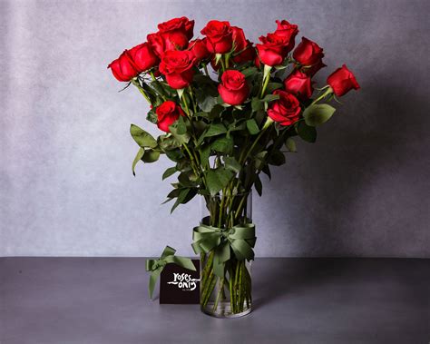 Red Roses | Long Stemmed Roses | Roses Only