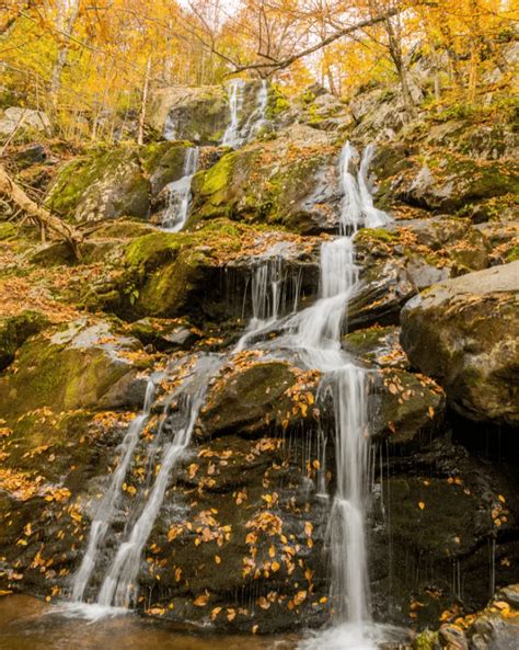 Fall in Virginia- 15 Spots to Enjoy Virginia Fall Colors