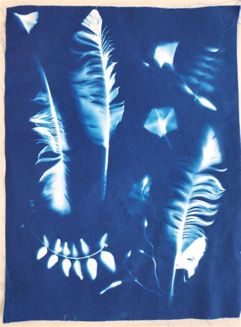 Le Cyanotype Peinture Facile Au Soleil L Atelier D Emma