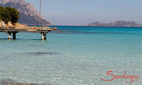 Olbia Idyllic Beaches Near The City Discover