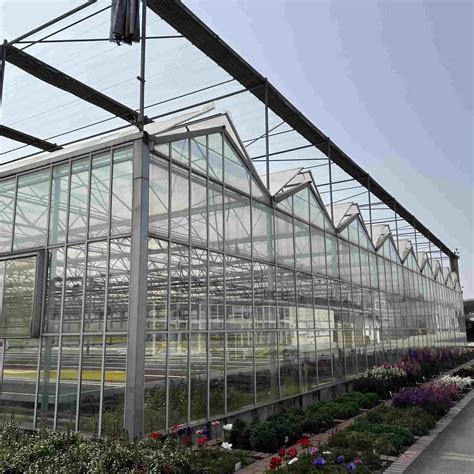 ChinaApplications and Benefits of Glass Green Houses,Greenhouse Plastic ...