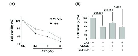 Tyms Upregulation Of Visfatin Induction Attenuates The Sensitivity Of