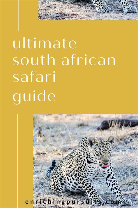 Ultimate Guide To Planning The Best South African Safari Experience