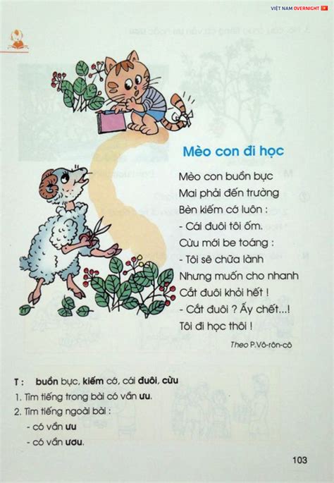 Tổng hợp Ảnh con mèo lười ngủ nhiều và đáng yêu nhất