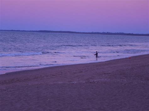 Moore Park Beach Towns Localista