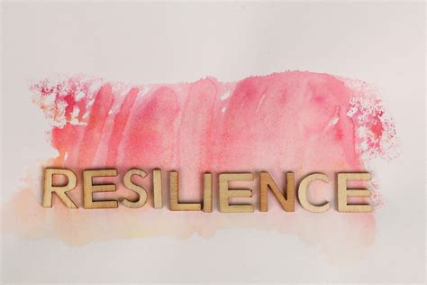 Resilience Photos, Download The BEST Free Resilience Stock Photos & HD
