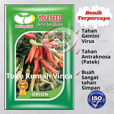 Jual Benih Bibit Cabe Rawit Setan Dompolan Orion Gr You Seed