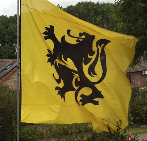 Vlaamse vlag - Flemish flag | Vlag, Projecten