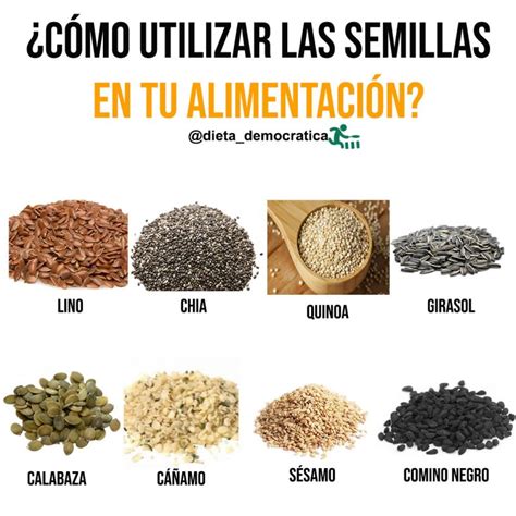 C Mo Utilizar Las Semillas En Tu Alimentaci N Somos Lo Que Comemos