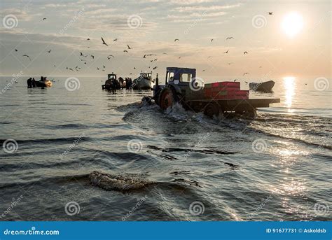 Fishermen Return From The Morning Fishing And Land The Fish Stock