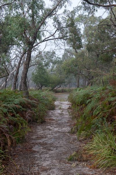 Royal Botanical Gardens, Cranbourne...