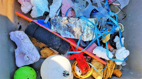 Marine Debris November Fishers Island Conservancy