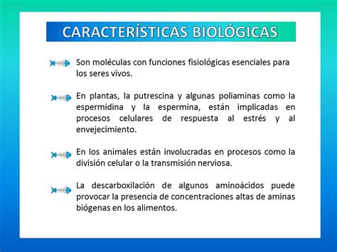 Formaci N De Aminas Bi Genas En Los Alimentos Steemit